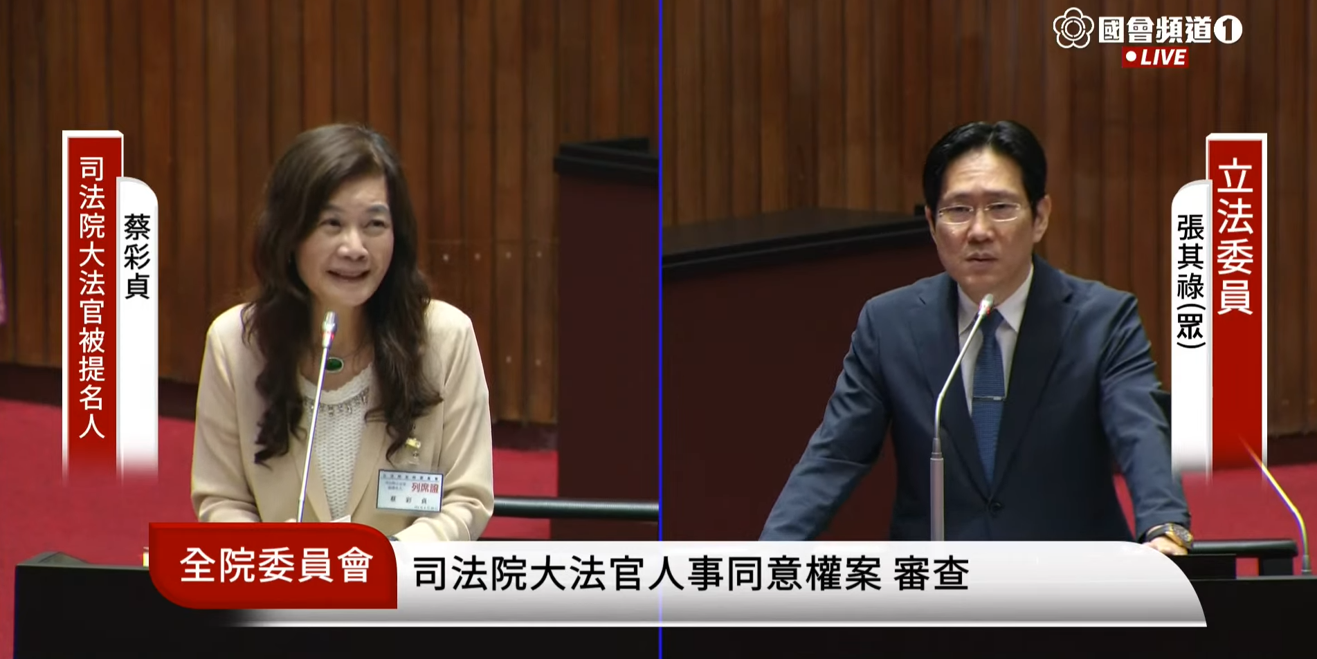 立法院20日召開大法官人事同意權案全院委員會審查。(圖取自國會頻道)