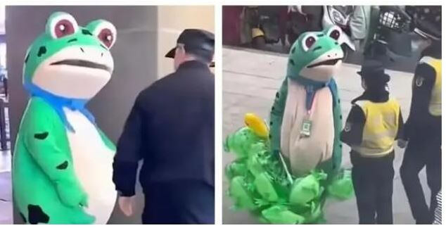 火爆中國的賣崽青蛙背後反映了中國經濟下行及青年失業悲歌(圖：網路)