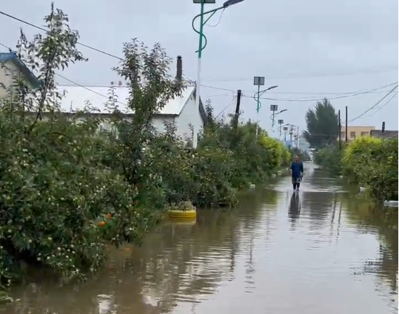 五常市龍鳳山鎮遭受暴雨襲擊。(網路圖片)