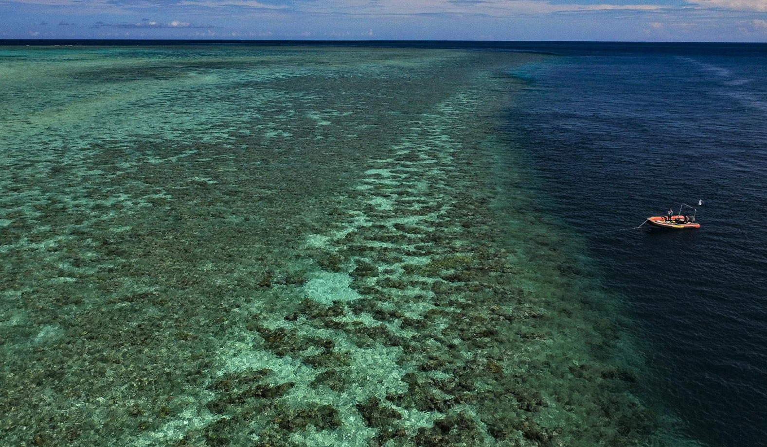 澳洲海洋科學院(Australian Institute of Marine Sciences)9日示警，聖嬰現象可能威脅大堡礁(Great Barrier Reef)。(翻攝自AIMS官網)