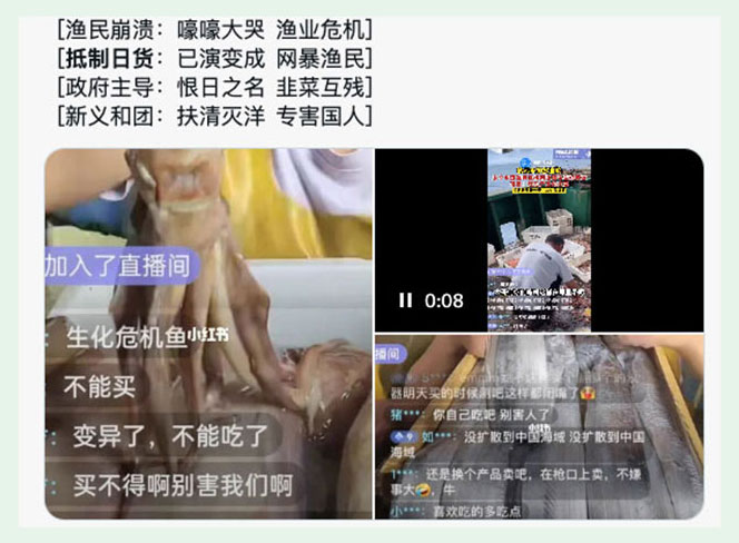 中國民間抵制日貨，殃及各個行業。(網路截圖/RFA古亭提供)