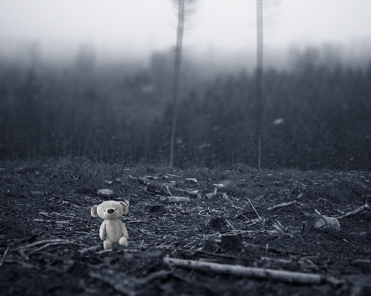 IMF報告指出，氣候變遷可能增加衝突與死亡。(圖：Pixabay)