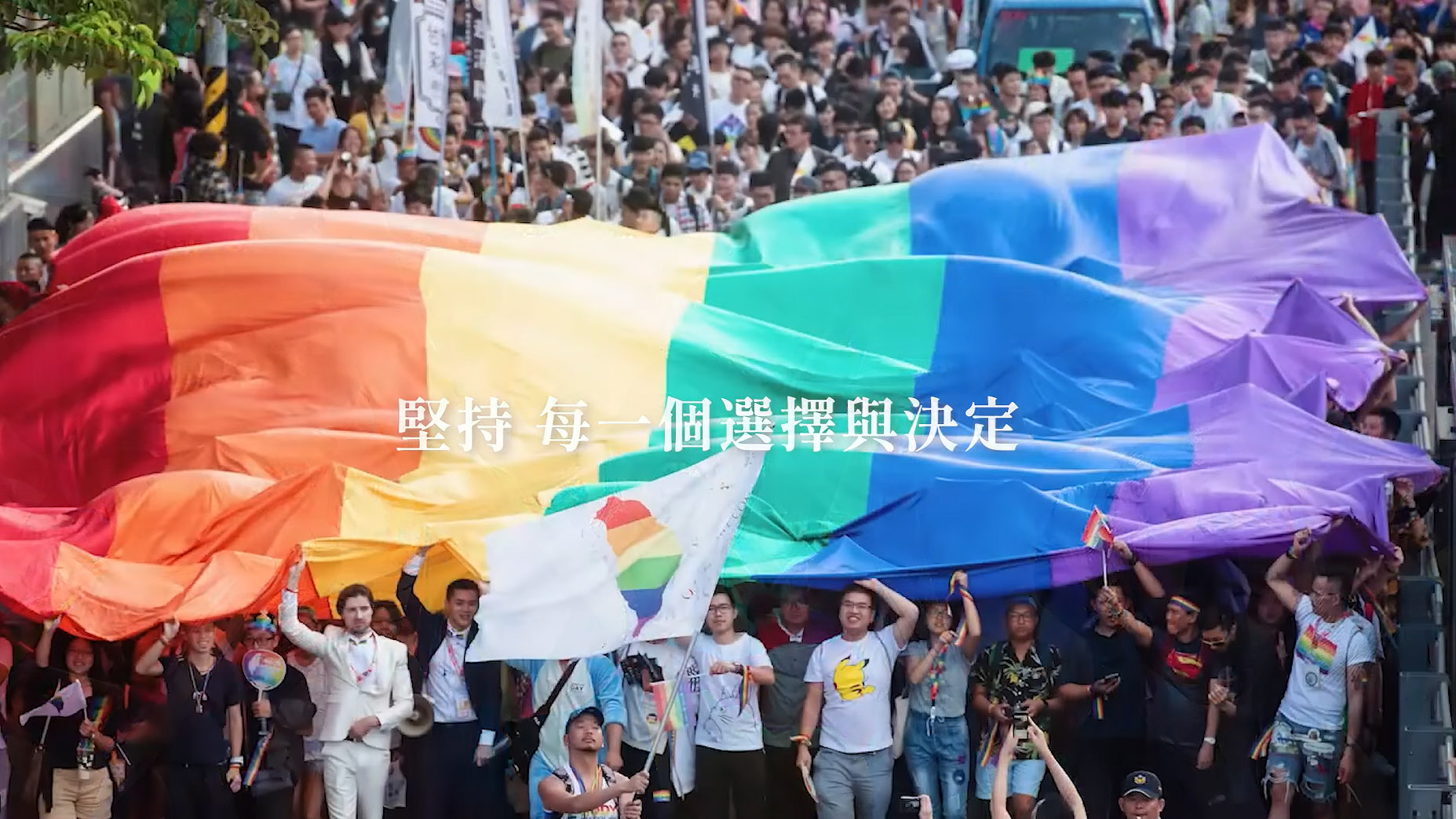 民進黨28日公布「黨史回顧」影片，與國人分享民主道路上的每一刻記憶。(翻攝自民主進步黨臉書)