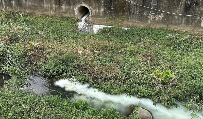 國發會今天(17日)指出，畜牧廢水處理是循環經濟的一環，目前精進畜牧廢水處理成效斐然，每年淨化達1座阿公店水庫蓄水量、減碳達218座大安森林公園碳吸納量。(示意圖：中央社)