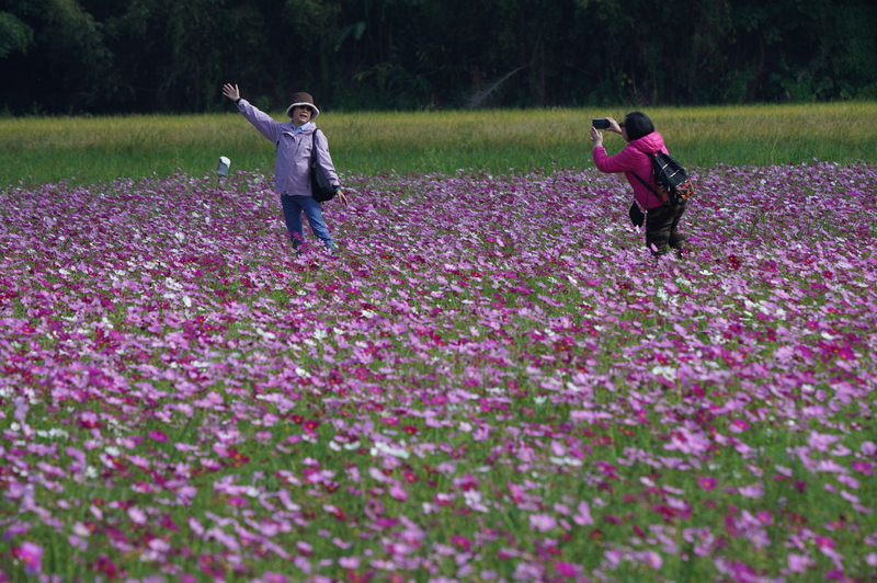 各地乾冷早晚溫低 中南部白天舒適。 (圖：中央社)