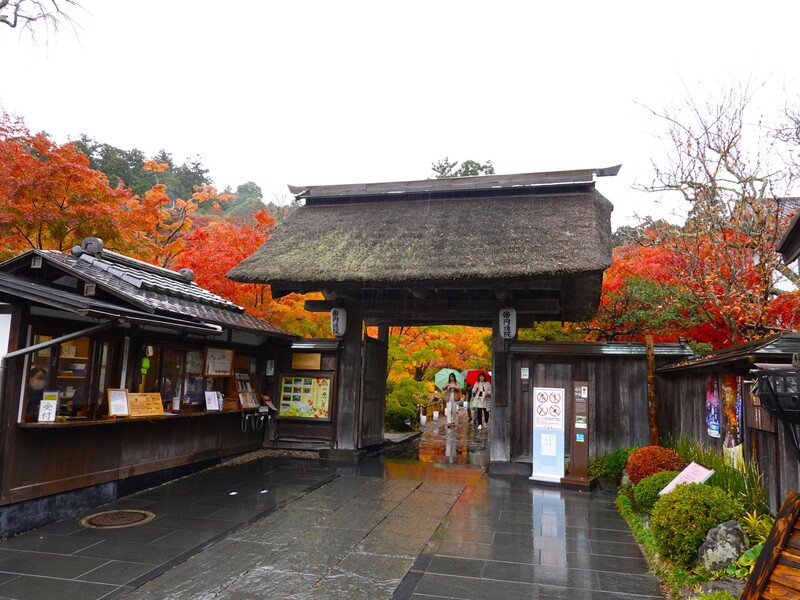 圖為日本三大景之一、位於宮城縣的松島面臨太平洋的松島灣。此處有瑞巖寺、圓通院，秋楓景色優美。目前外籍觀光客當中，有6、7成是台灣遊客。 (圖：中央社)