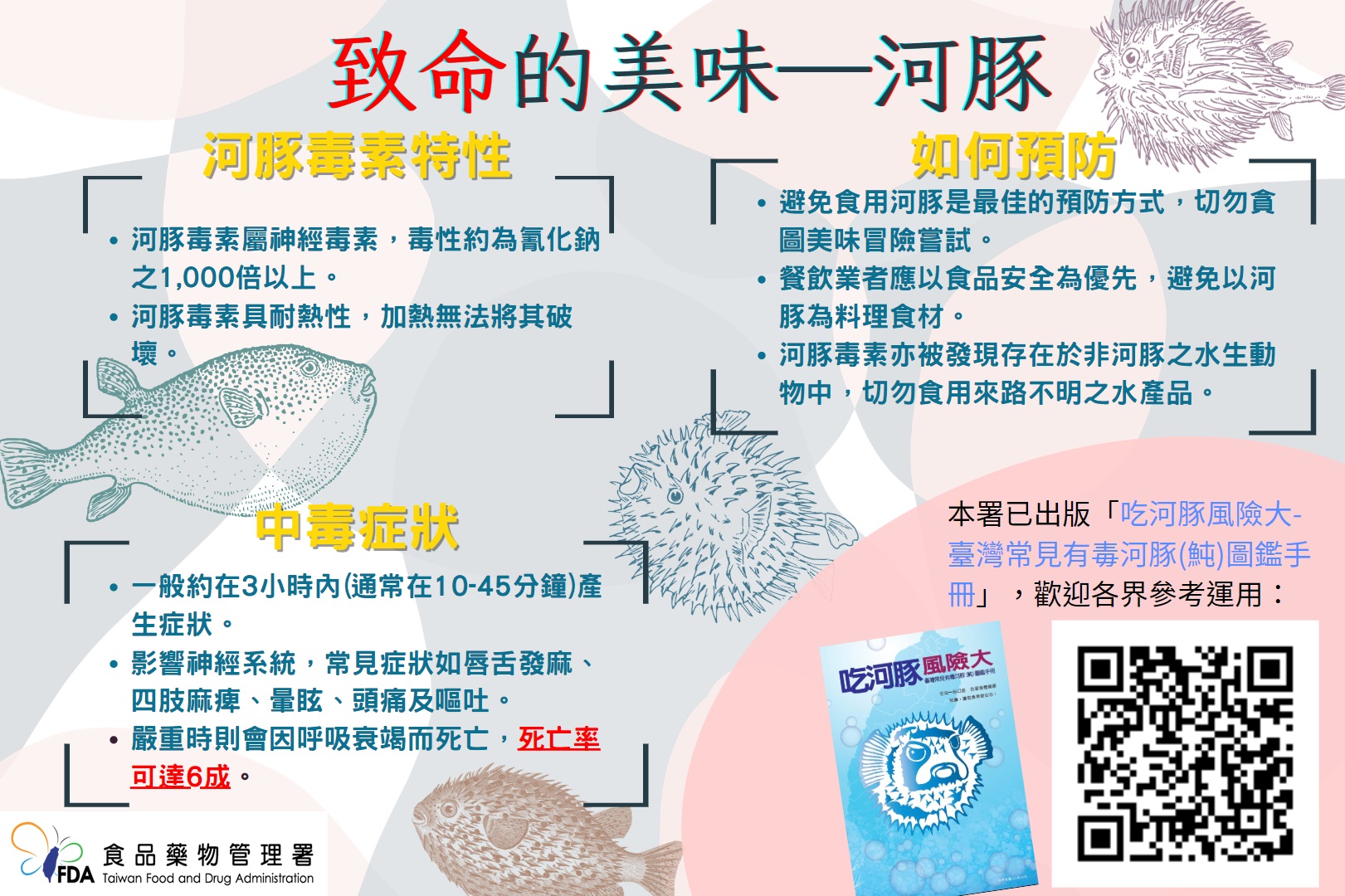 誤食有毒河豚致死率高，食藥署籲民眾勿捕捉食用。(食藥署提供)