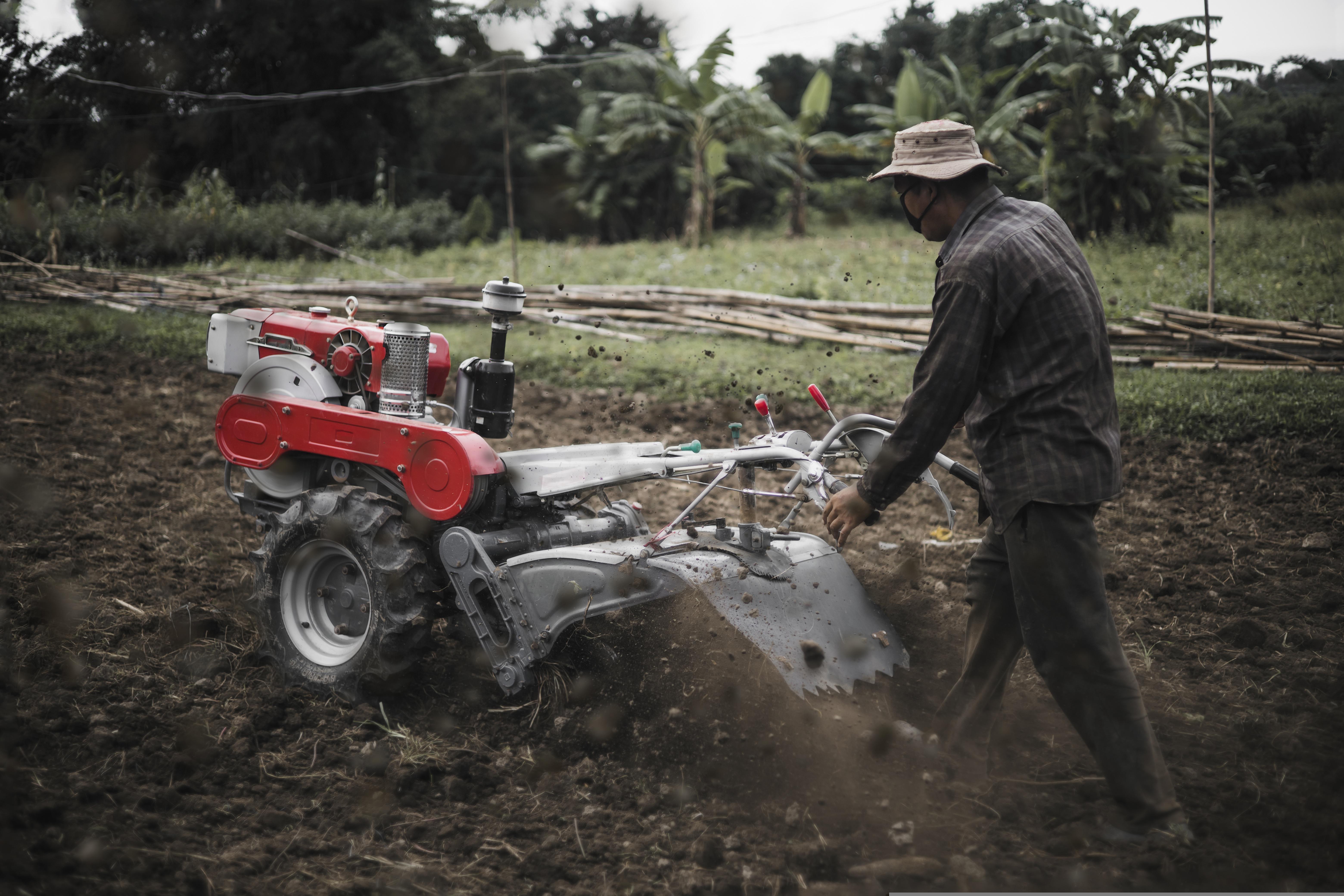 政府清查不符農保資格的農民。示意圖。(Pixabay)