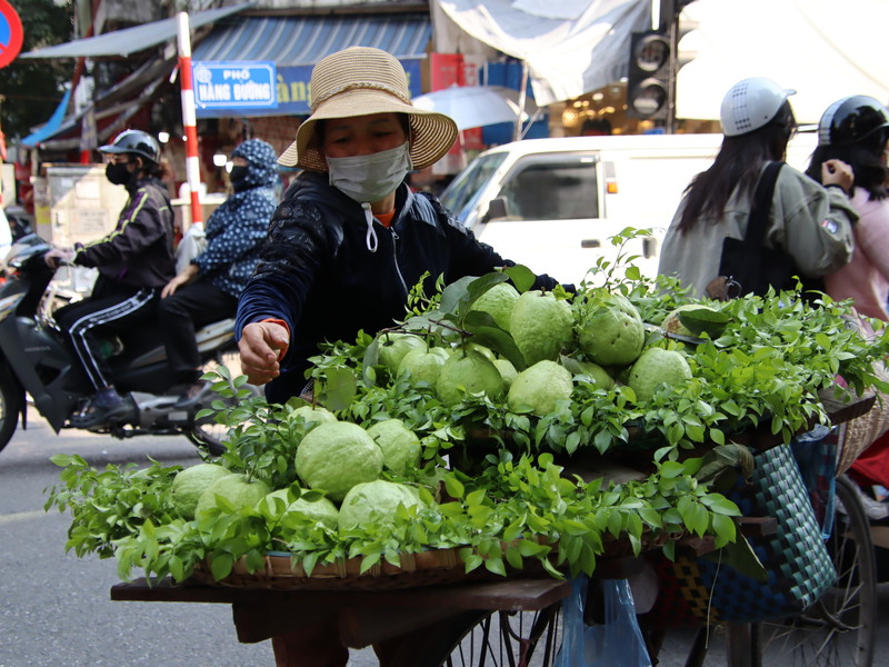 中國國家主席習近平12、13日到訪越南，穩定與擴大越南農產品出口至中國將是越方的重要期盼。圖為越南街頭賣水果的小販。 (圖：中央社)