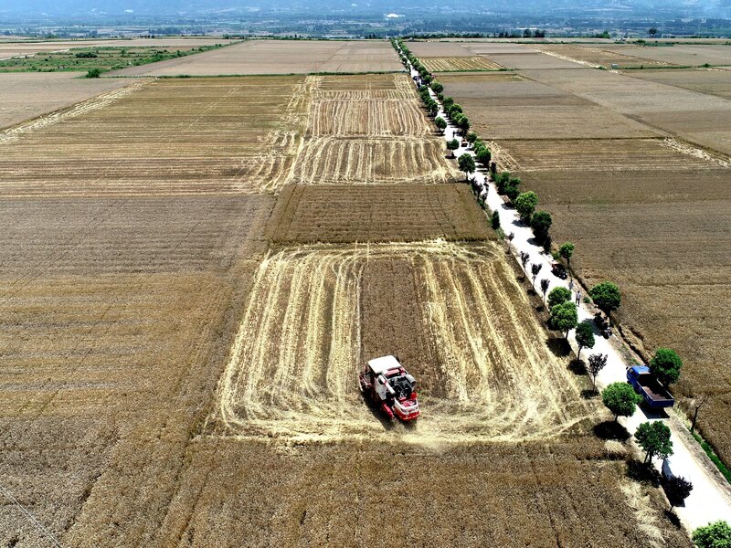 重回毛時代？！中國農村集體經濟新法引發質疑（中新社提供/中央社 )