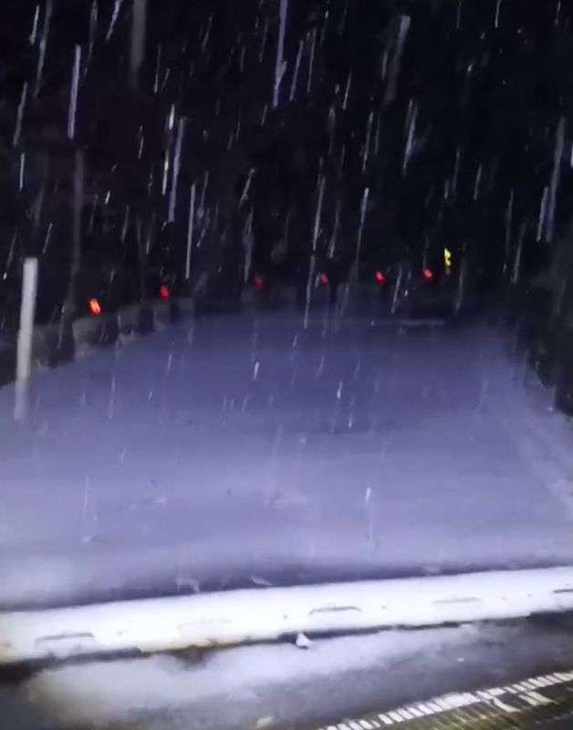 拉拉山國家森林遊樂區下雪。(影片截圖)