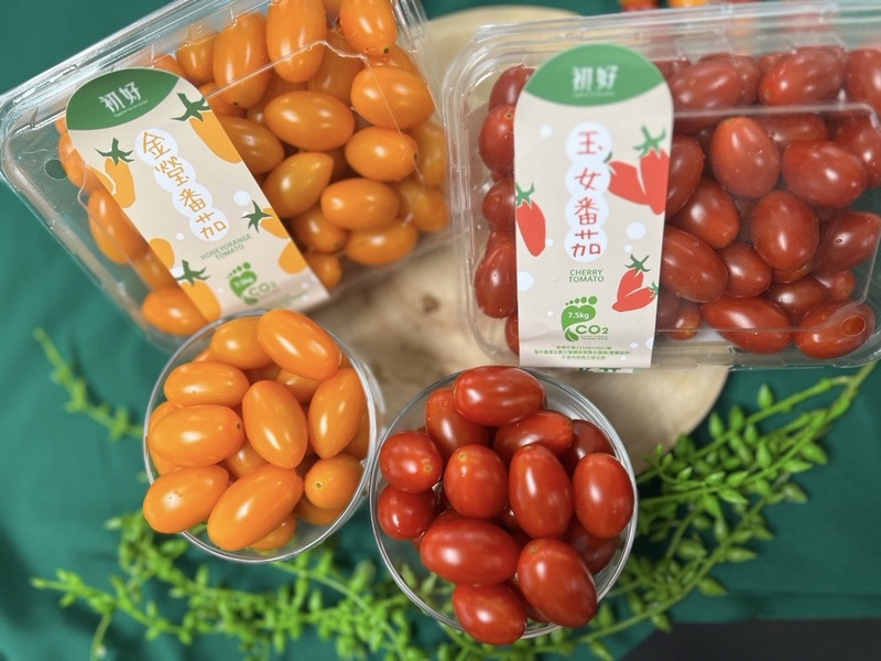 為推動產品碳標籤，環境部最快9月底將預告自願碳足跡管理辦法。圖為高雄市農業局輔導在地農民及農民團體申請碳足跡標章，印有碳足跡標籤「金瑩」及「玉女」小番茄（高雄市農業局提供） (圖：中央社)