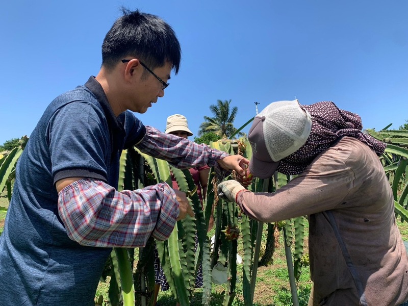 台灣以先進技術支持斐濟的農業發展並提升農作產能及品質。(駐斐濟代表處提供/圖：中央社)