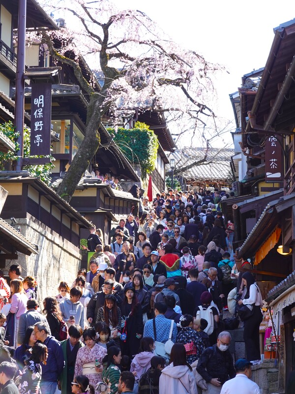 圖為京都清水寺附近。資料照。(圖：中央社)