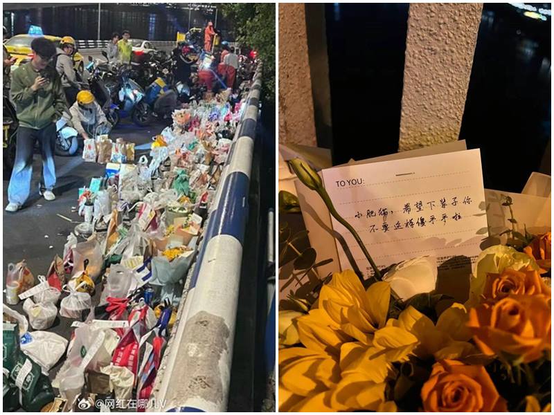 許多中國民眾追悼胖貓。（微博）