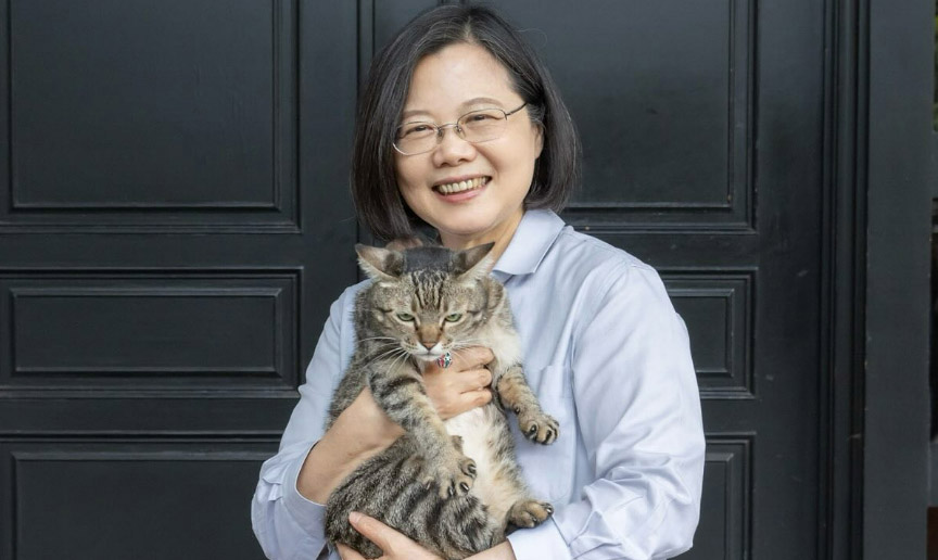蔡英文總統20日將卸任，她19日透過社群平台Instagram，秀出搬離官邸前與愛貓「蔡想想」的合照。(翻攝自總統Instagram)