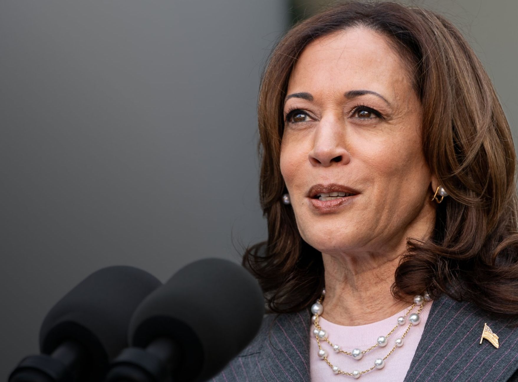 美國副總統賀錦麗(Kamala Harris)。  (圖:@VP)