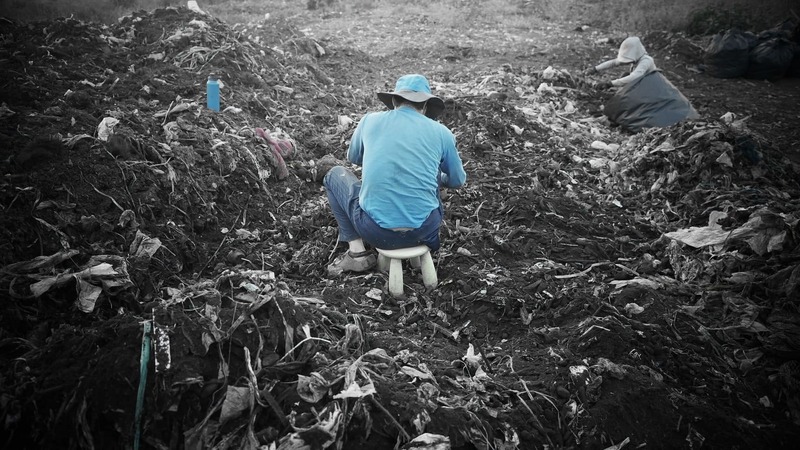 當土壤不再健康！紀錄片《種土》帶來省思…同場加映黑道片《角頭》、恐怖片《嘎啦》 episode artwork