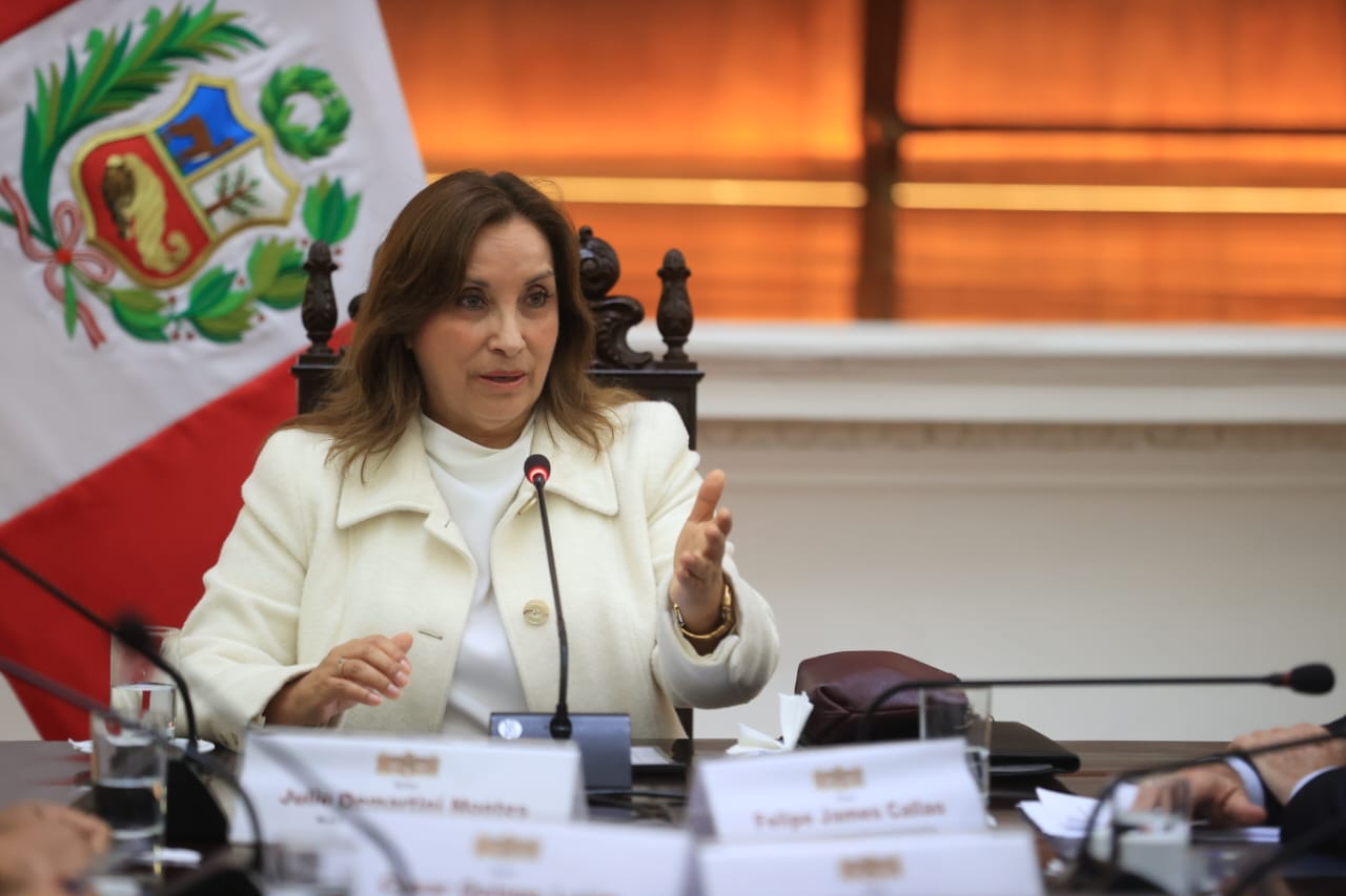 秘魯總統博魯阿爾特(Dina Boluarte)。 (圖:@presidenciaperu)