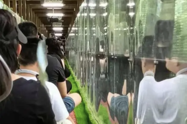 廣西德天瀑布景區登高觀瀑魔毯項目發生故障。（網頁截圖）
