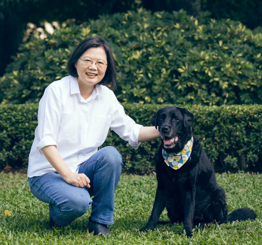 16歲黑色導盲犬Maru離世蔡英文：我會一直記得你-新聞-Rti 中央廣播電臺