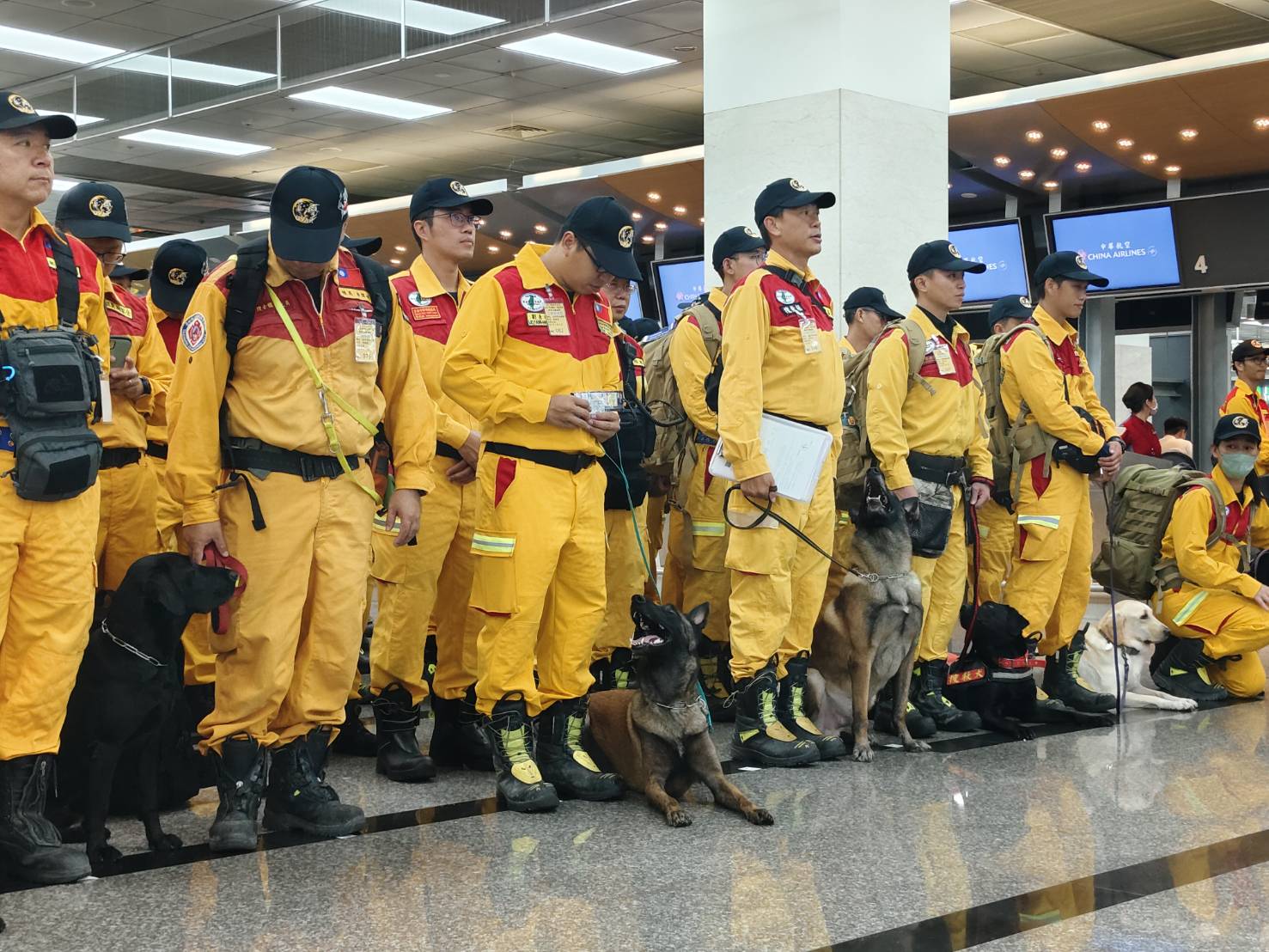 消防署舉辦特搜隊國際人道救援出勤演練，搜救犬一字排開待命出勤，成為目光焦點。(王韋婷攝)
