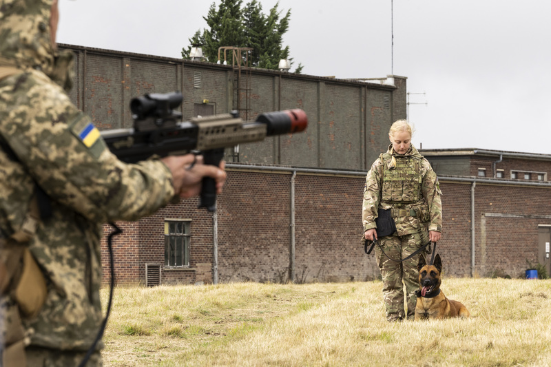 烏克蘭軍犬領犬員在英國受訓，今年夏季已有16名領犬員完訓。（英國國防部提供） (圖：中央社)