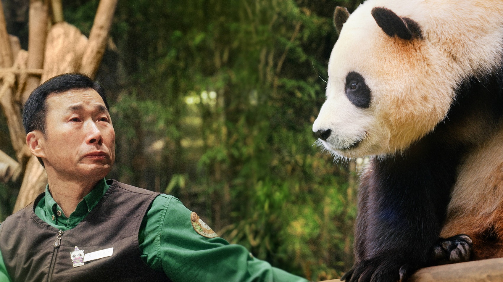 《再見，福寶》上映3天票房破800萬 ，在片中照顧大貓熊「福寶」的韓國飼養員「姜爺爺」姜哲遠將來台會見台灣粉絲。(車庫娛樂提供)