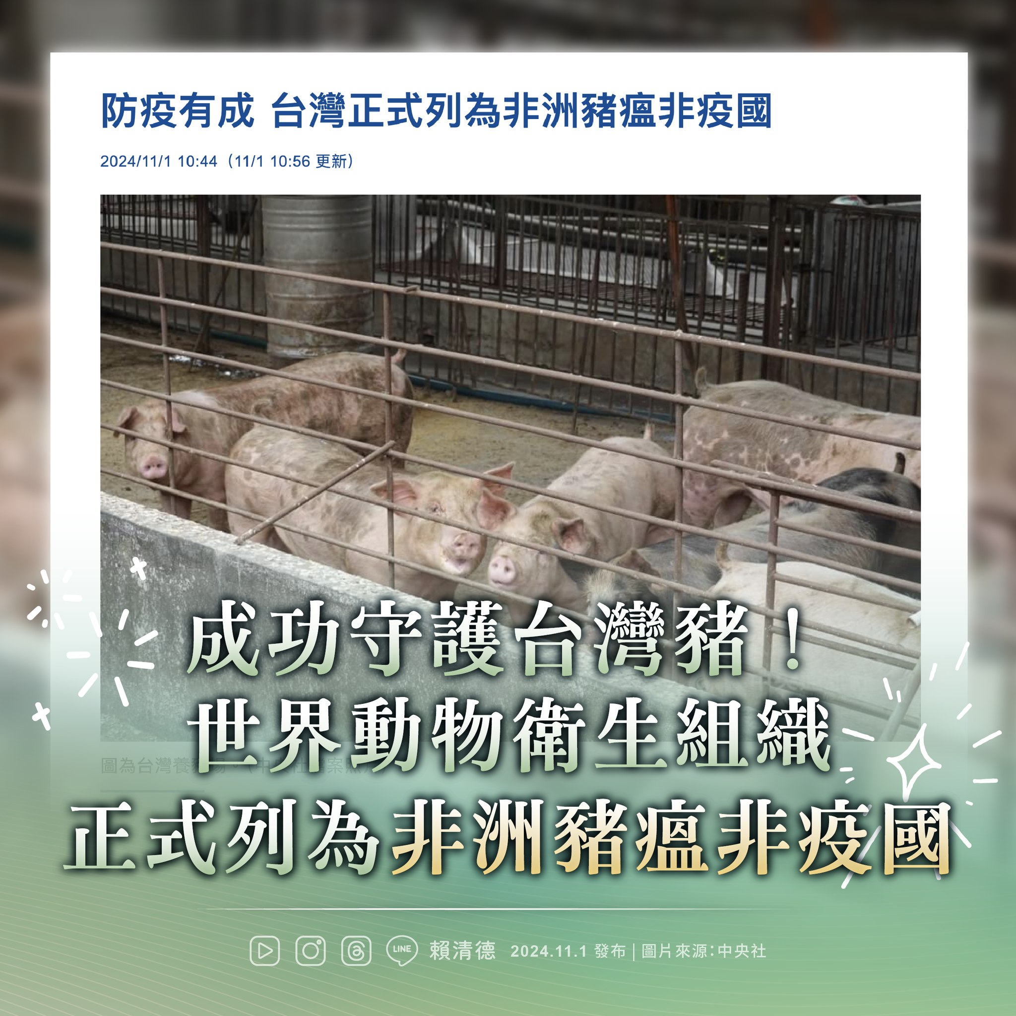 賴清德總統1日透過臉書表示，台灣正式成為非洲豬瘟非疫國，非常感謝全體豬農跟政府共同努力，促進台灣畜牧產業的永續發展。(圖：賴清德總統臉書)