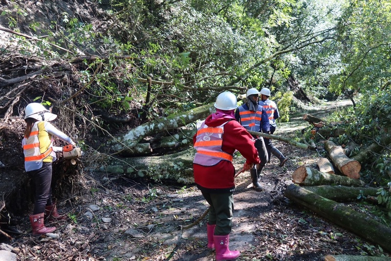 颱風康芮挾強風過境台灣，台中梨山地區不少樹木不敵狂風傾倒阻礙交通，地方民眾動員清理，希望盡快恢復通行。（民眾提供）(圖：中央社)