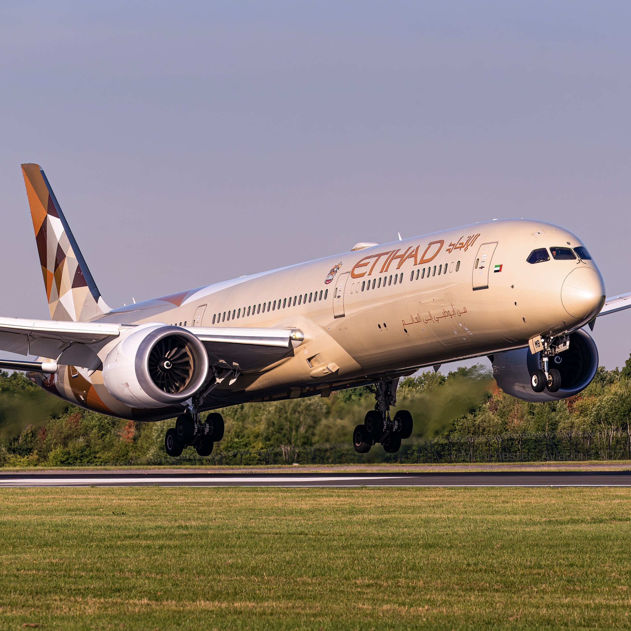 阿提哈德航空(Etihad Airways)。(圖：www.etihad.com)