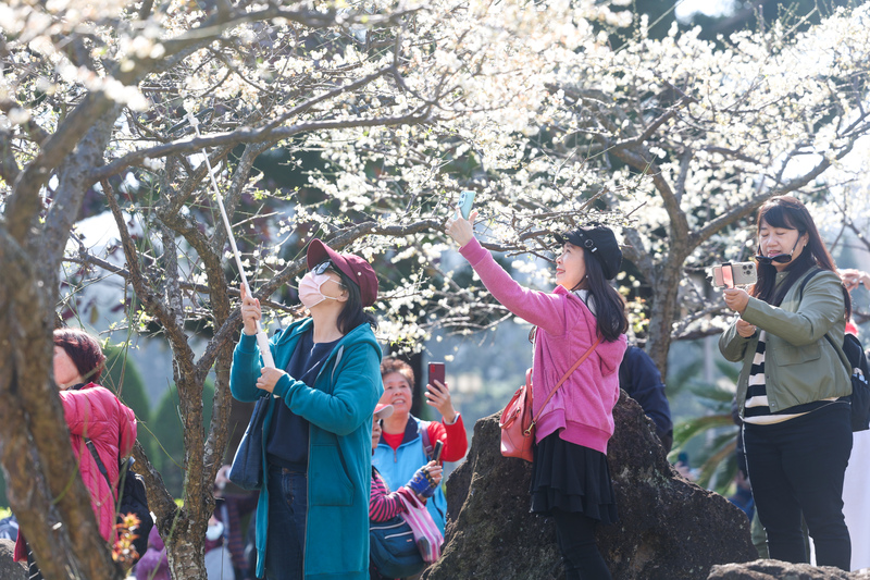 華南雲系東移雲多偶雨 東北季風漸增北台轉涼。 (圖：中央社)