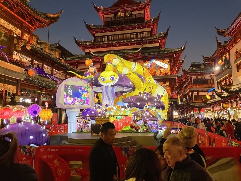 上海豫園燈會迎來30週年，主題為山海經叢林篇，主燈為金色靈蛇盤繞在蘑菇上，身旁圍繞著花草、小菌人，呼應「天地人和，金蛇獻瑞」的叢林主題。 (圖：中央社)