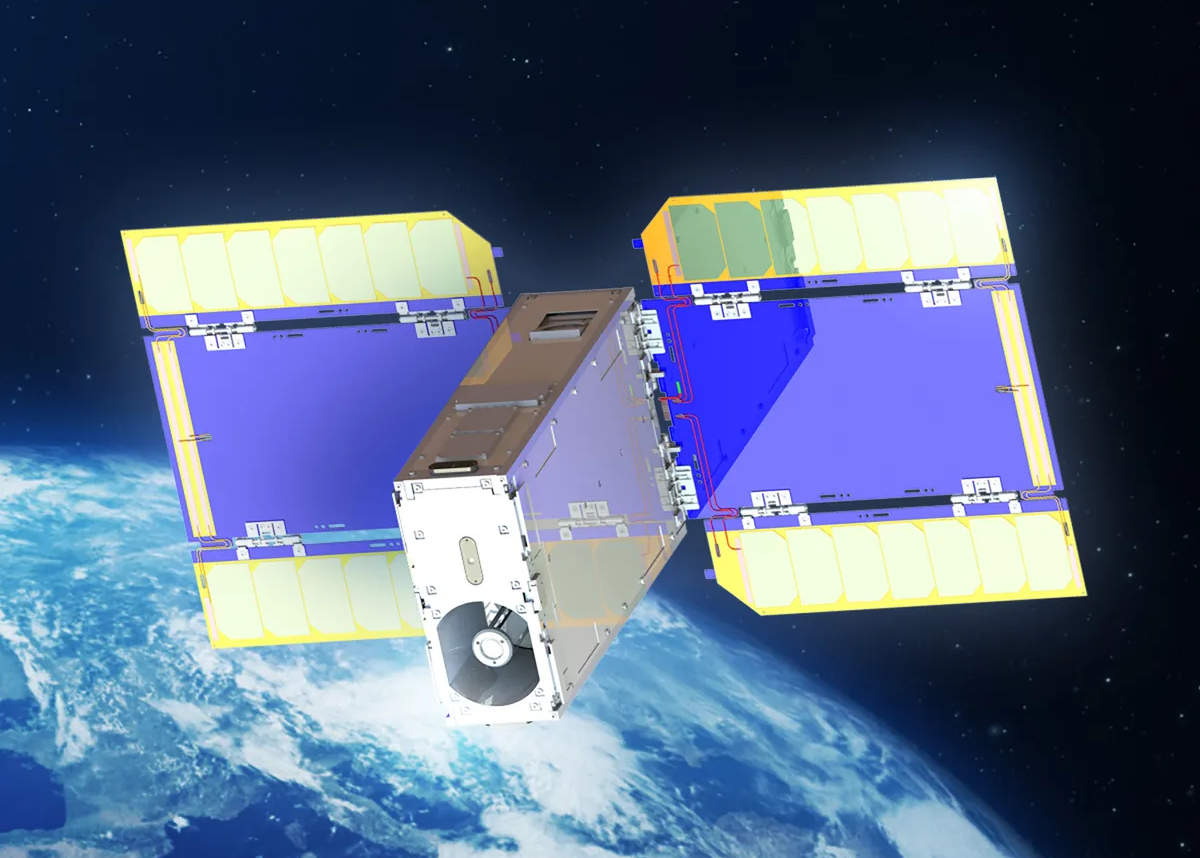 圖為旺來模擬圖。(圖：TASA)