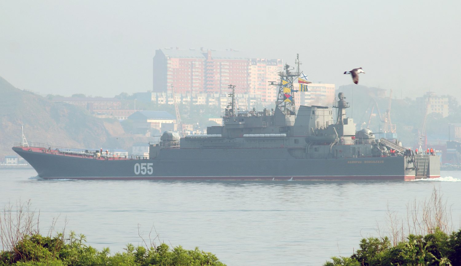 俄羅斯海軍大型登陸艦涅維爾斯科伊海軍上將號(Admiral Nevelskoy)。(圖：維基)