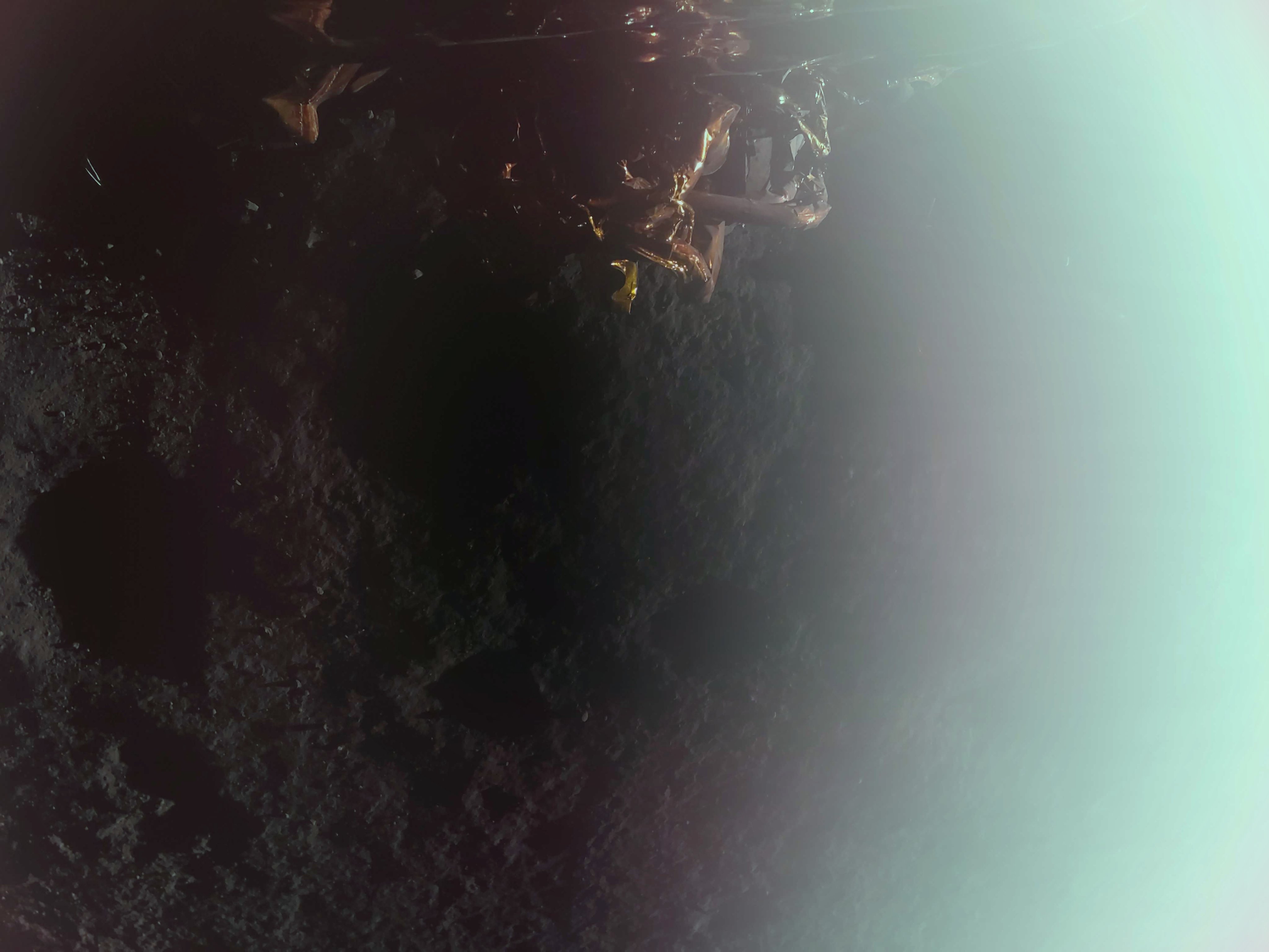 「藍色幽靈任務1號」登月器在確認成功登陸月球後拍攝的第一張圖片。(圖: Firefly Aerospace)