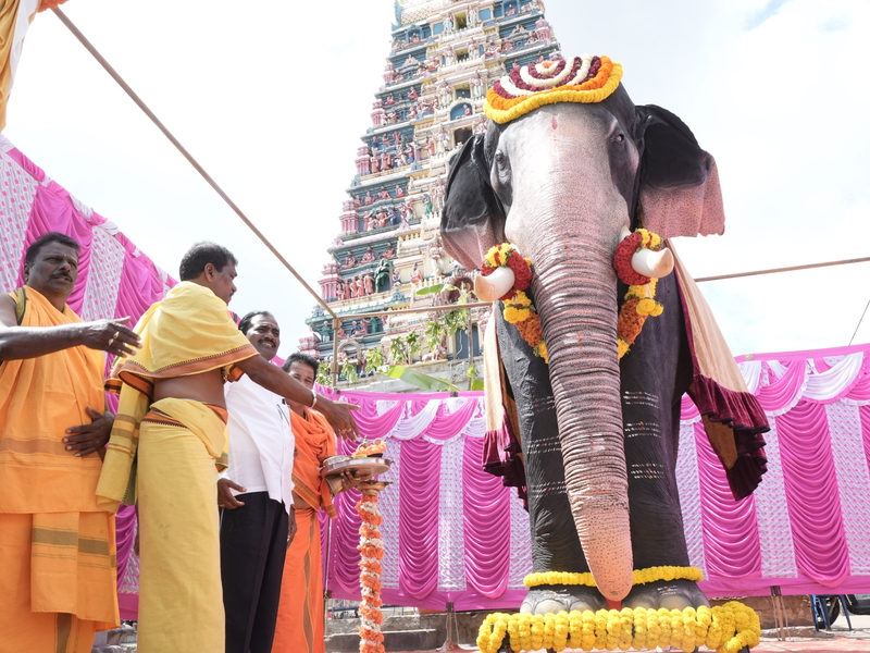 在印度的善待動物組織（PETA India）推廣下，印度部分寺廟不再使用真的大象，而是在宗教儀式改用機器象。（PETA India提供） (圖：中央社)