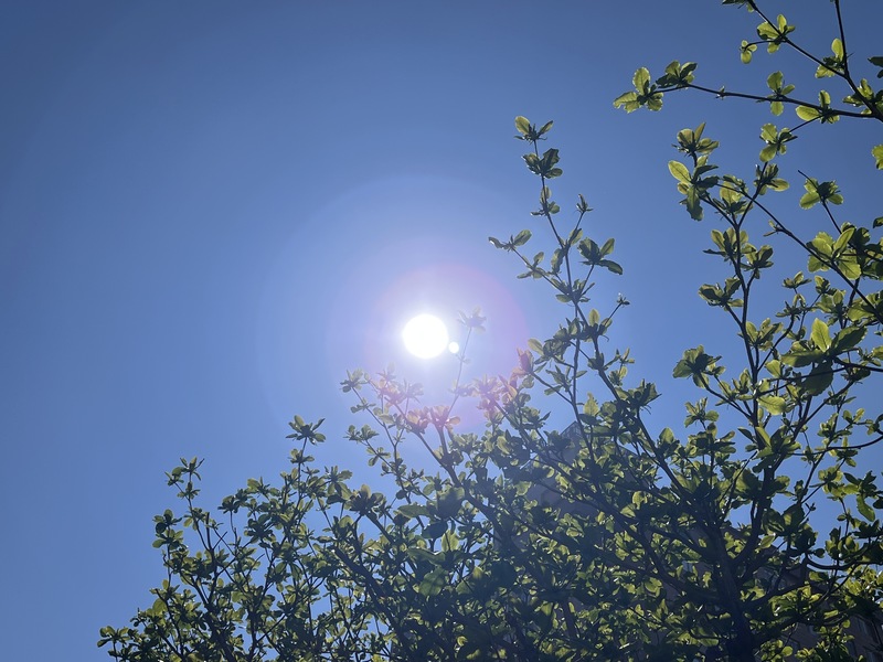 受沉降氣流影響，台東南迴線27日飆高溫，焚風現象下，太麻里鄉下午1時27分出現攝氏37.1度。 (圖：中央社)