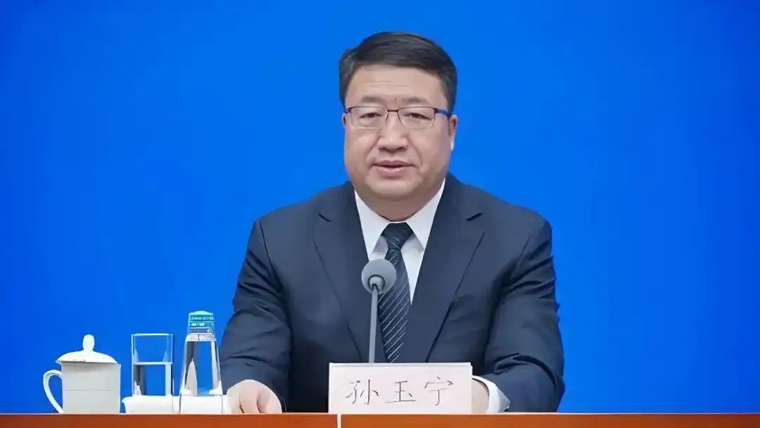 中國前海關總署副署長孫玉寧。(網路圖片)