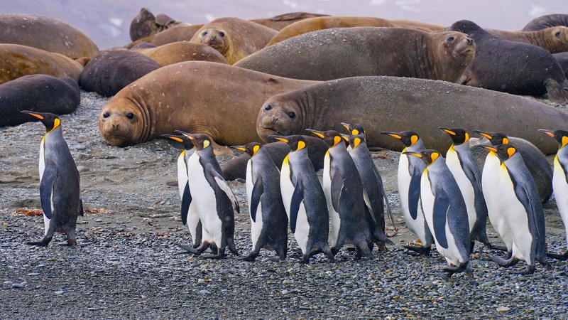 生態電影「守護我們的星球」耗資新台幣4000萬元拍攝，並以台灣觀點和為地球生態發聲為初衷，5月將正式上映。(圖：中央社)