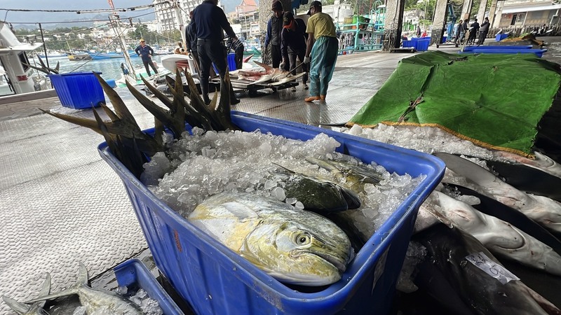 因應全球供應鏈重組，台廠布局羅馬尼亞，發展智慧農業與漁業養殖。示意圖。(圖：中央社)