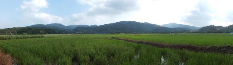 農業部生物多樣性研究所近期在國際期刊「地景生態學」發布的研究顯示，地景組成異質度愈高的環境，愈能吸引較多種鳥類棲息，圖示有森林及農地的田寮洋環境，鳥類就很豐富。(圖：中央社)