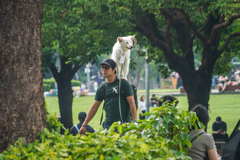 天氣晴朗，民眾帶著寵物外出散步。 (圖：中央社)