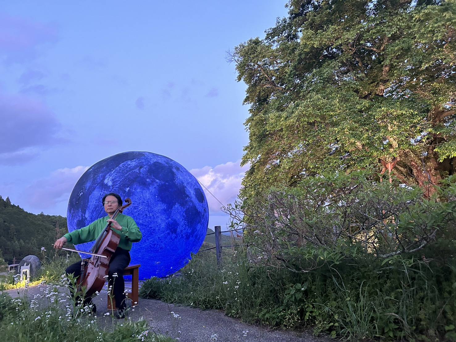 台日共丸聯盟發起的「台灣自己館」行動，5月25日傍晚在日本真庭市千年醍醐櫻花樹下，由旅日大提琴家三船文彰展開一場別開生面，千年一遇的大提琴演奏。(台日共丸聯盟提供)