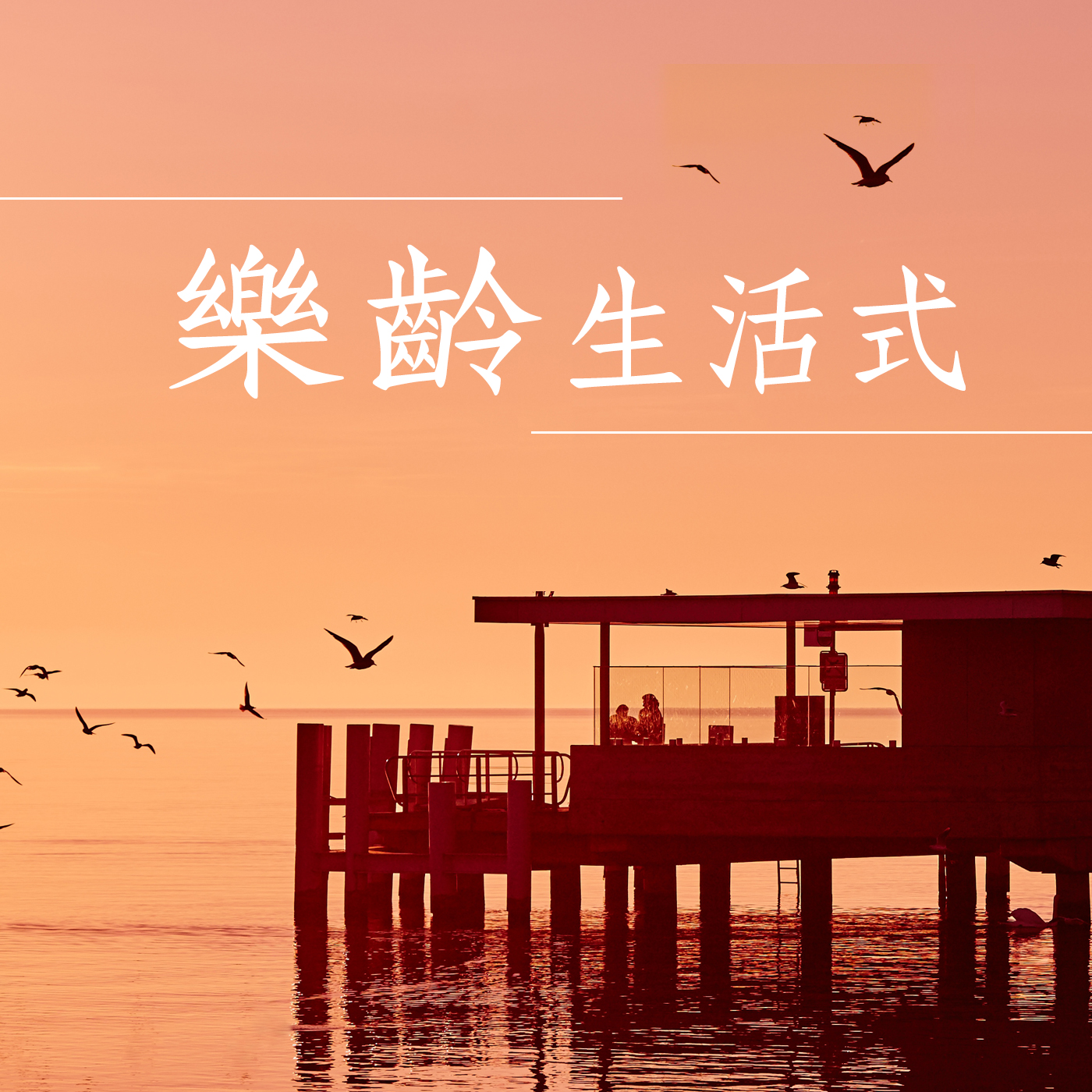 樂齡生活式