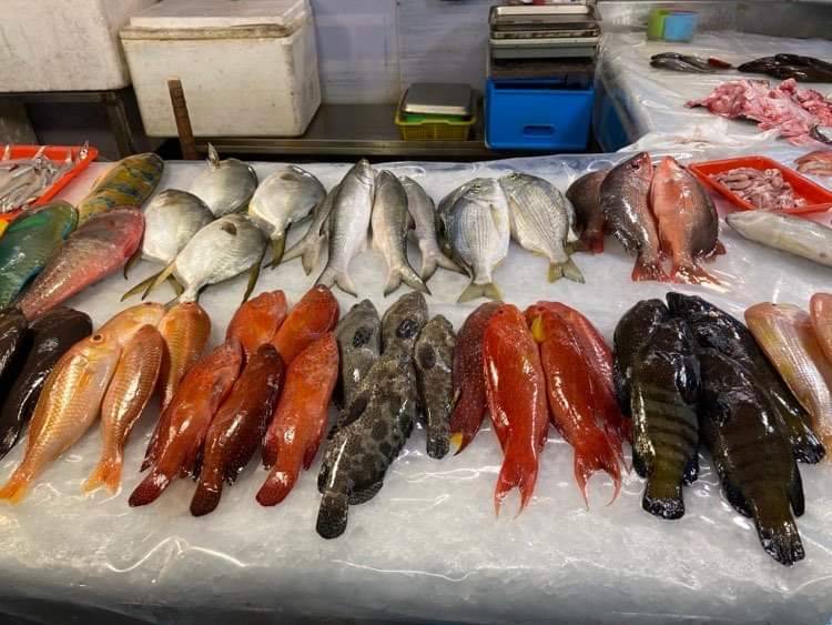 在漁市場可以挑選各式各樣的魚種