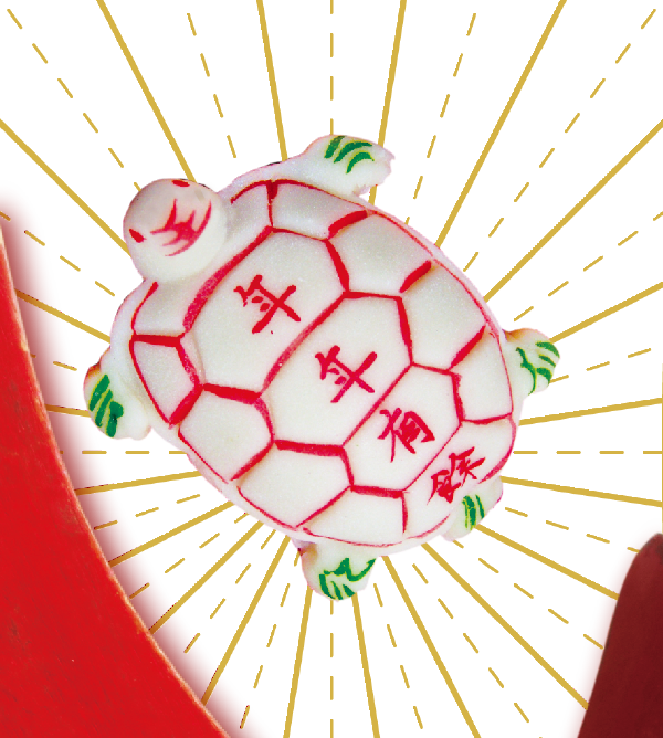 春遊澎湖 趣談乞龜