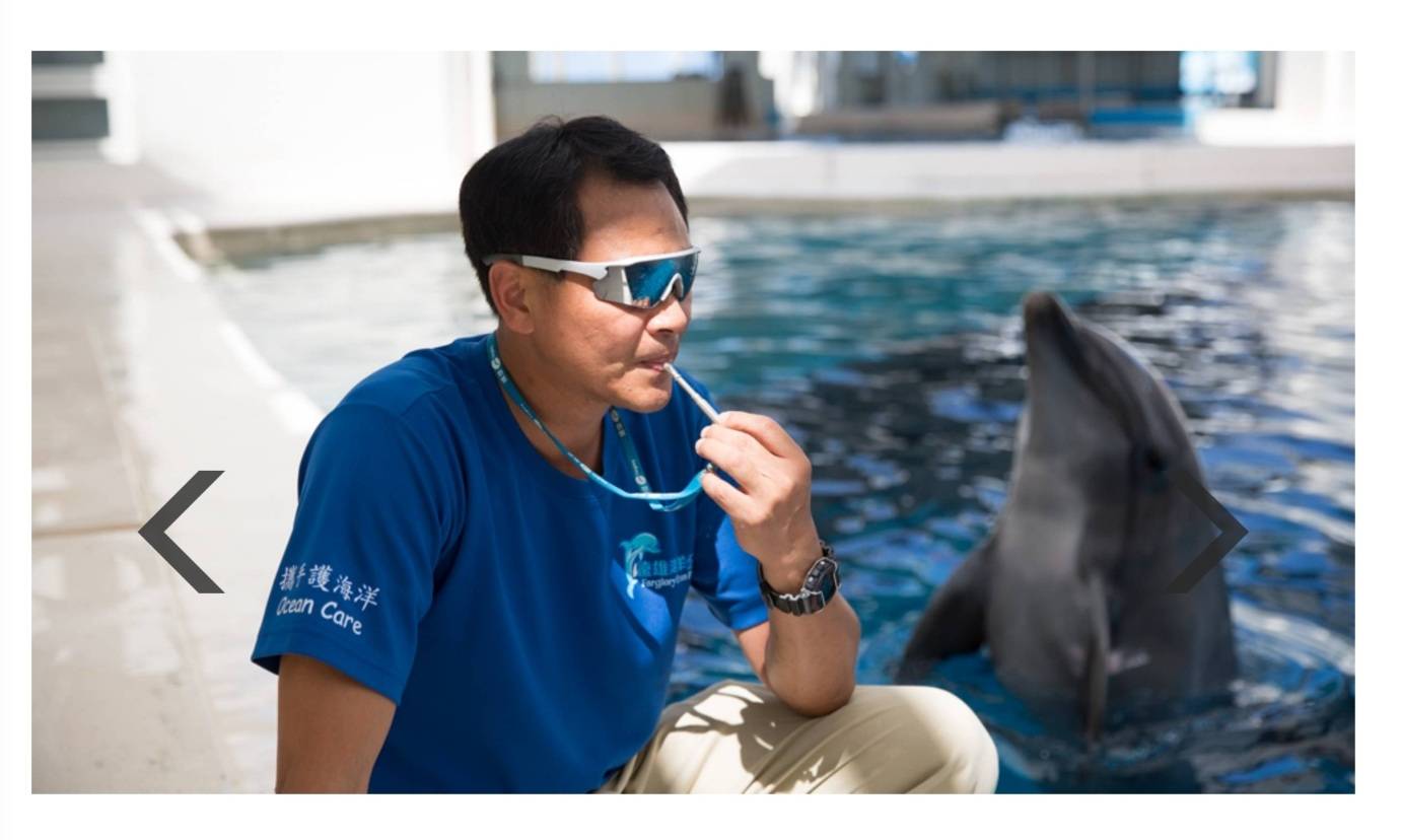 飼育員謝得燦透過哨子跟海豚溝通