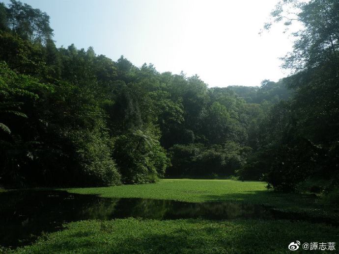 李與譚 談俚語:「一句來 一句去」