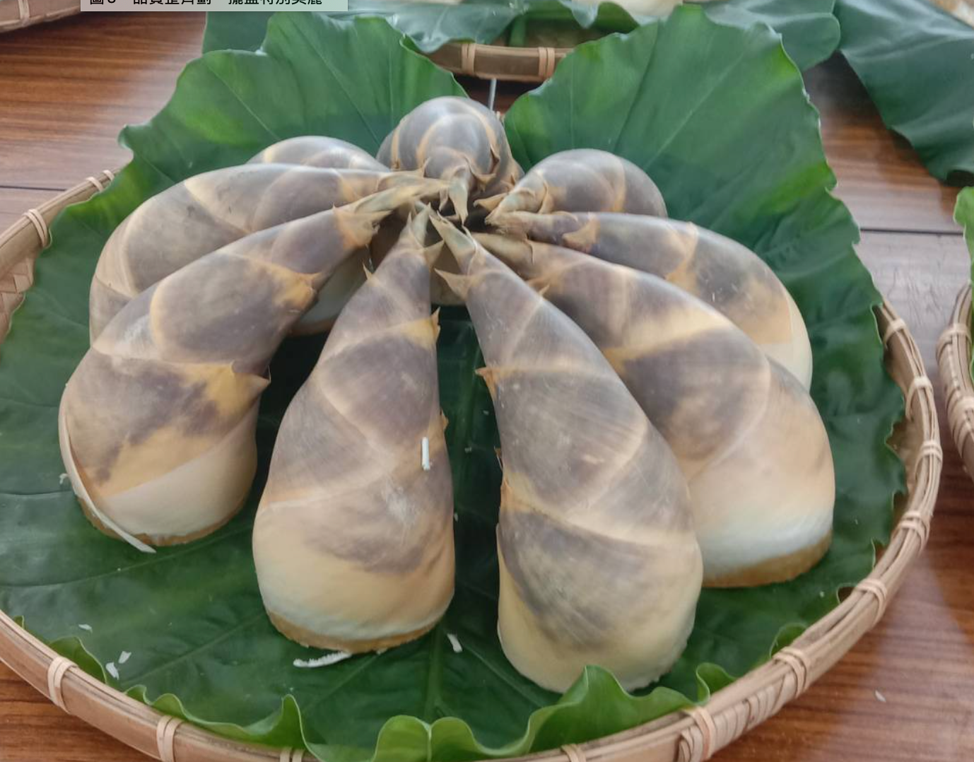 台灣綠竹筍讓你涼一夏